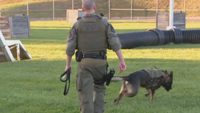 Fairfax County Police Department trains new K9 recruits