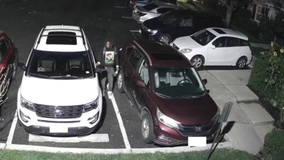 Surveillance video shows suspect entering multiple vehicles in Montgomery County