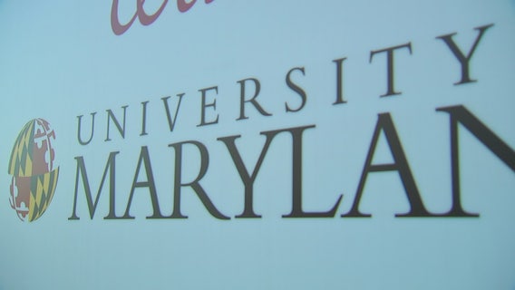 University of Maryland lifts suspension of fraternities, sororities
