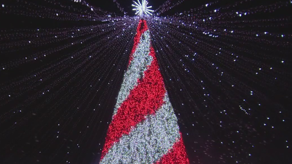 Winter City Lights: A must-see holiday spectacle in Montgomery County