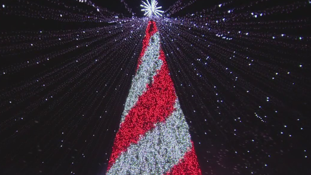 Winter City Lights: A must-see holiday spectacle in Montgomery County