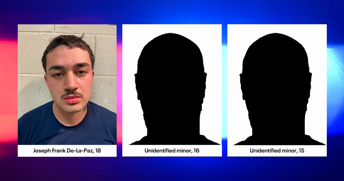 3 teens arrested after assaulting, carjacking 72-year-old woman in ...