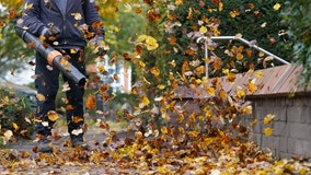 Arlington County considering gas-powered leaf blower ban