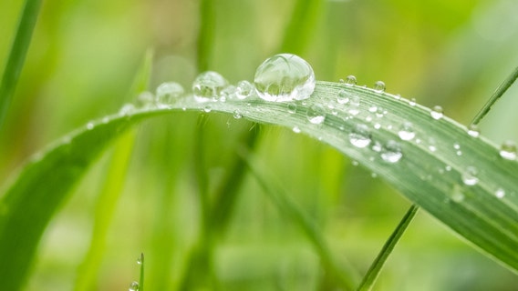Arlington residents could be taxed hundreds based on how much grass is on their property