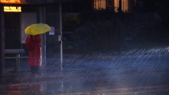 Damaging winds expected as 'vigorous' storm system hits DC area Sunday