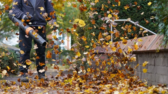 Arlington County considering gas-powered leaf blower ban