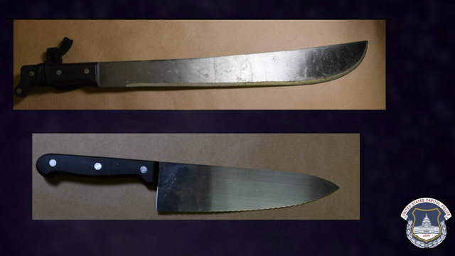 Man arrested after carrying a machete and knife on the East Front of the U.S. Capitol