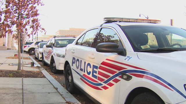 Man arrested for more than a dozen incidents of vandalism