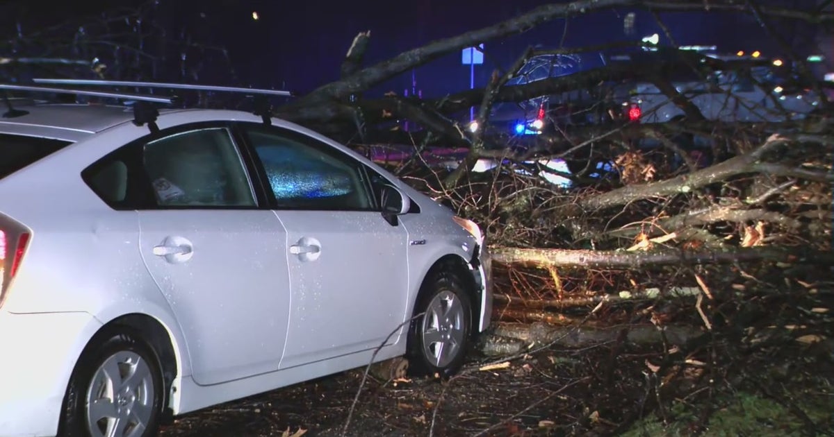 Slick roads, downed trees create traffic chaos around DMV | FOX 5 DC