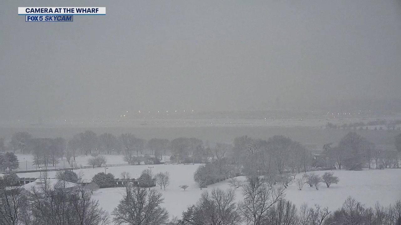 由于积雪和冰，里根国家机场的航班起飞被暂停