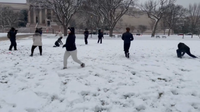 DC snowball fight planned for National Mall on Sunday
