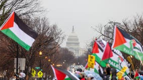 March on Washington for Gaza takes over Freedom Plaza