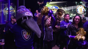 Baltimore Ravens fans across DC region celebrate playoff run