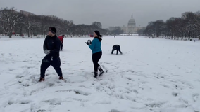 Snowball fight takes over National Mall after 2 years of no snow
