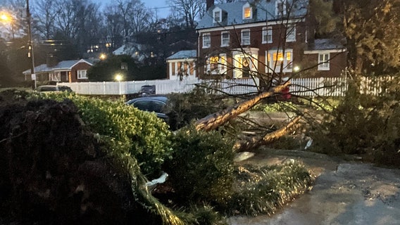 Alexandria flooding shuts down roads as heavy rain and wind hits DC, Maryland & Virginia