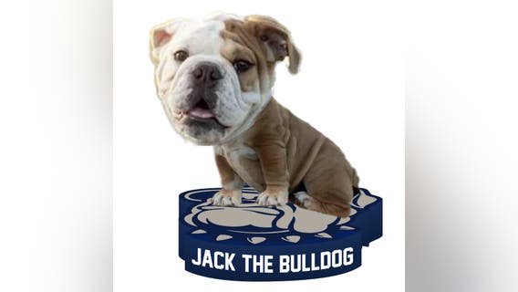 Georgetown University unleashes new Jack the Bulldog bobblehead