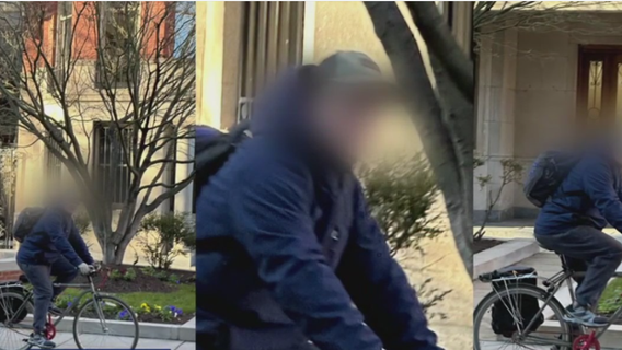 Cyclist throws rocks through driver’s windshield in road rage incident, injuring 2 small dogs: police