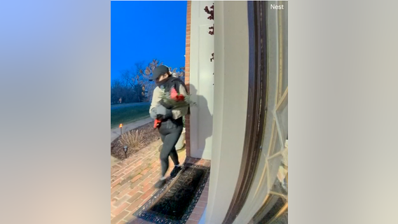 Burglars use bouquet of flowers to break into homes in Fairfax County: police