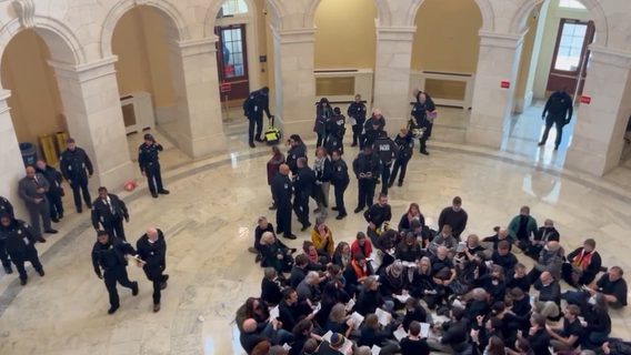 130 protestors arrested at Cannon Rotunda on Capitol Hill during illegal Gaza protest