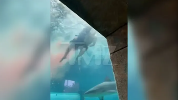 Maryland boy's shark attack: Video shows aftermath at Bahamas Resort