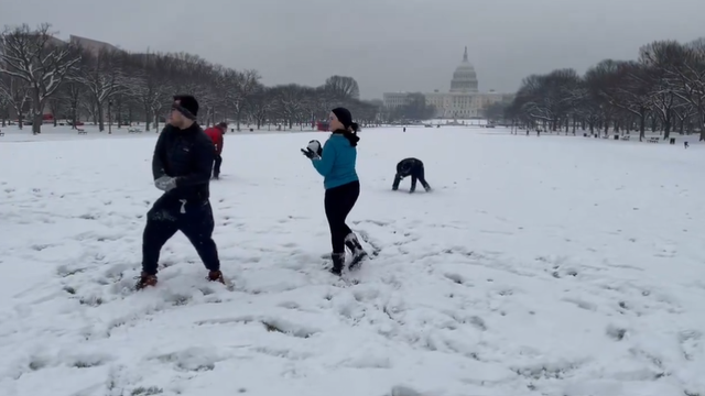 Snowball fight takes over National Mall after 2 years of no snow