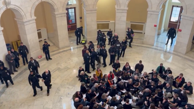 130 protestors arrested at Cannon Rotunda on Capitol Hill during illegal Gaza protest