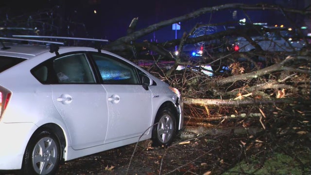 DC, Maryland & Virginia road conditions: Flooding, downed trees, power outages create traffic chaos