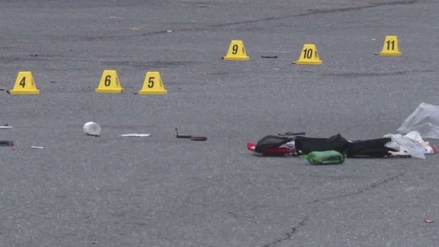 Mental health a factor in suspect's violent rampage across DC, Maryland: police