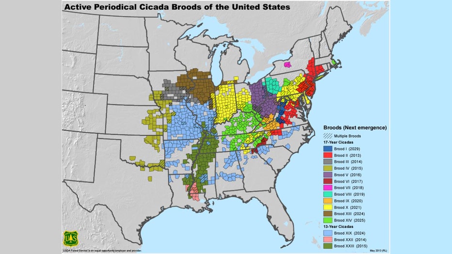 1c2786a7-Cicada-US-map.jpg