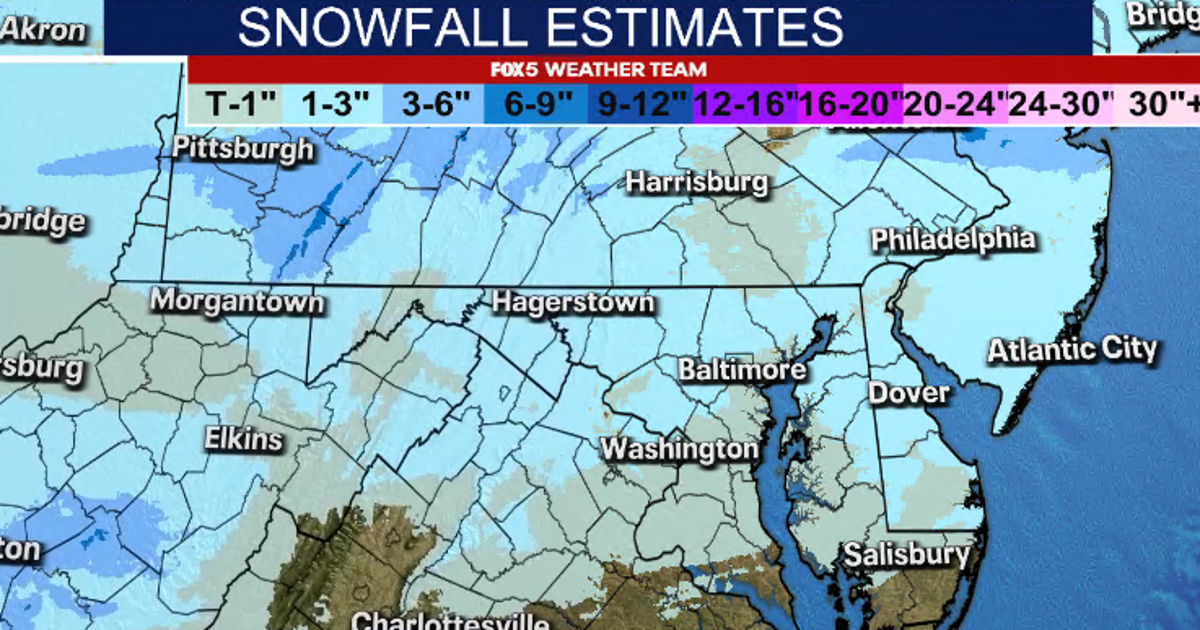 BLIZZAPOINTMENT: Why snow struggled in the DC region last night | FOX 5 DC