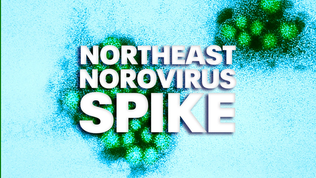 Norovirus 2024 CDC Reports Stomach Bug Spike In Northeast FOX 5 DC   Norovirus Spike Gfx 