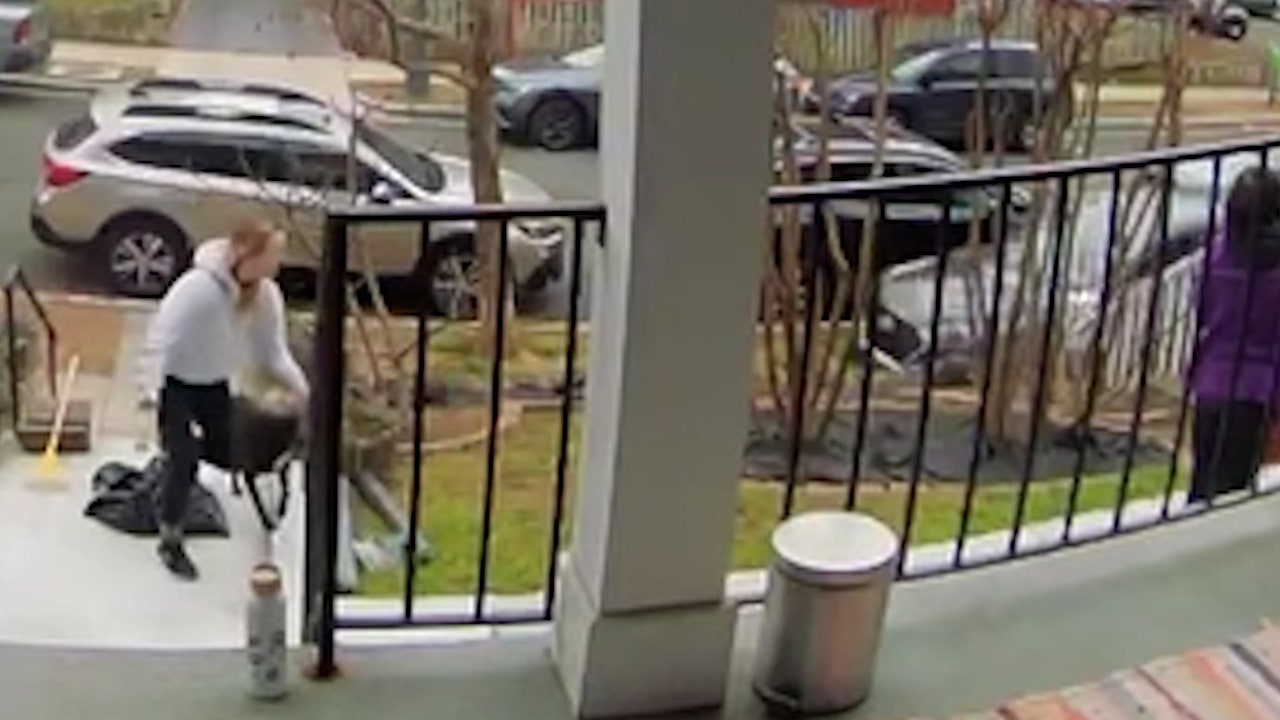 视频：华盛顿特区的女子和狗险些被偷车司机撞到