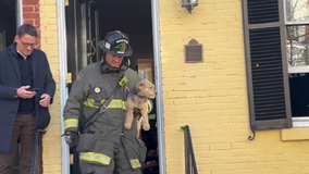 Small dog 'Mr. BIG' reunited with his owner after an early morning DC fire