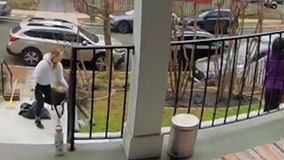 VIDEO: DC woman, dog narrowly avoid being hit by driver in stolen car