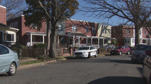 Overnight sex assault under investigation in Alexandria