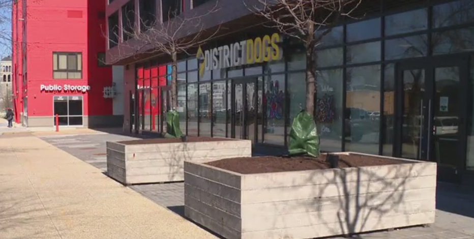 District Dogs employee kicked puppy after dog became 'too energetic': police report