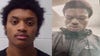 2 arrested after charred remains of 7 dogs found in Maryland woods