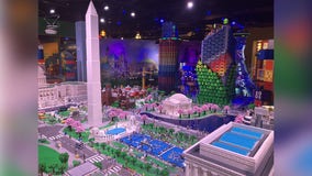 DC’s Lego cherry blossoms reach peak bloom: photos