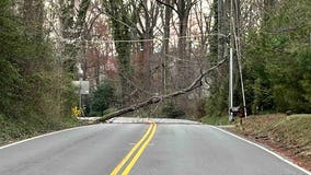 Fallen tree and downed power lines shuts down road in Fairfax County