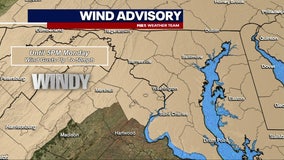 Wind Advisory in place across DC region with gusts of 50 mph possible