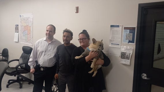 Missing French Bulldog 'Recardito' found after vehicle stolen in Northwest