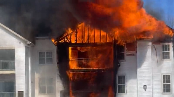 Firefighters save three people and dog from blaze engulfing Bowie condos