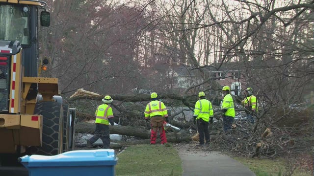 Neighborhood blocked off after strong winds down tree in Virginia