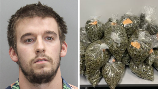 Juvenile busted, 27-year-old man charged after guns, drugs, ammunition found in 3 Reston-area homes: police