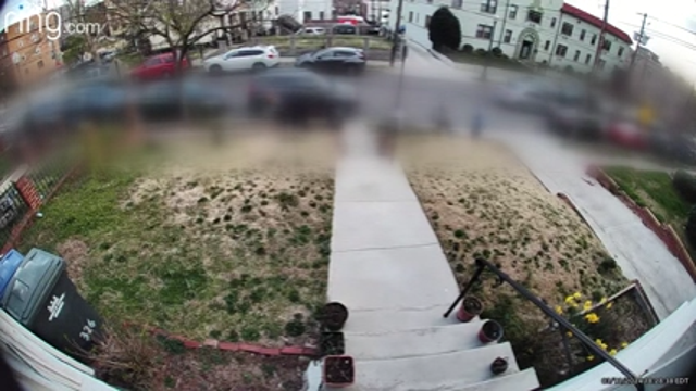 DC homeowner believes she's being targeted by young vandals with rocks