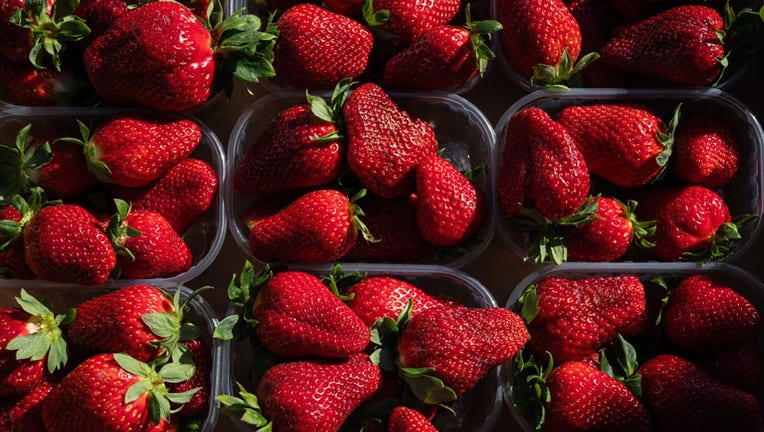 Tubs of strawberries are pictured in a file image. (Photo by Marcos del Mazo/LightRocket via Getty Images)