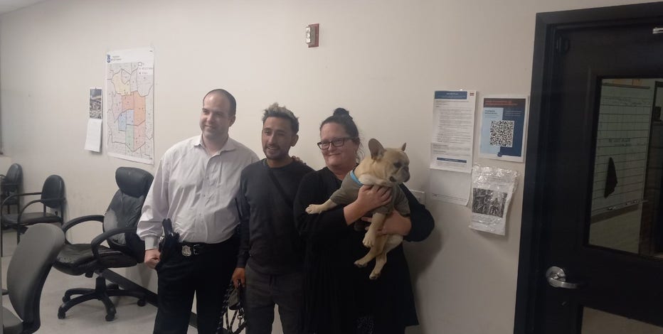 Missing French Bulldog 'Recardito' found after vehicle stolen in Northwest