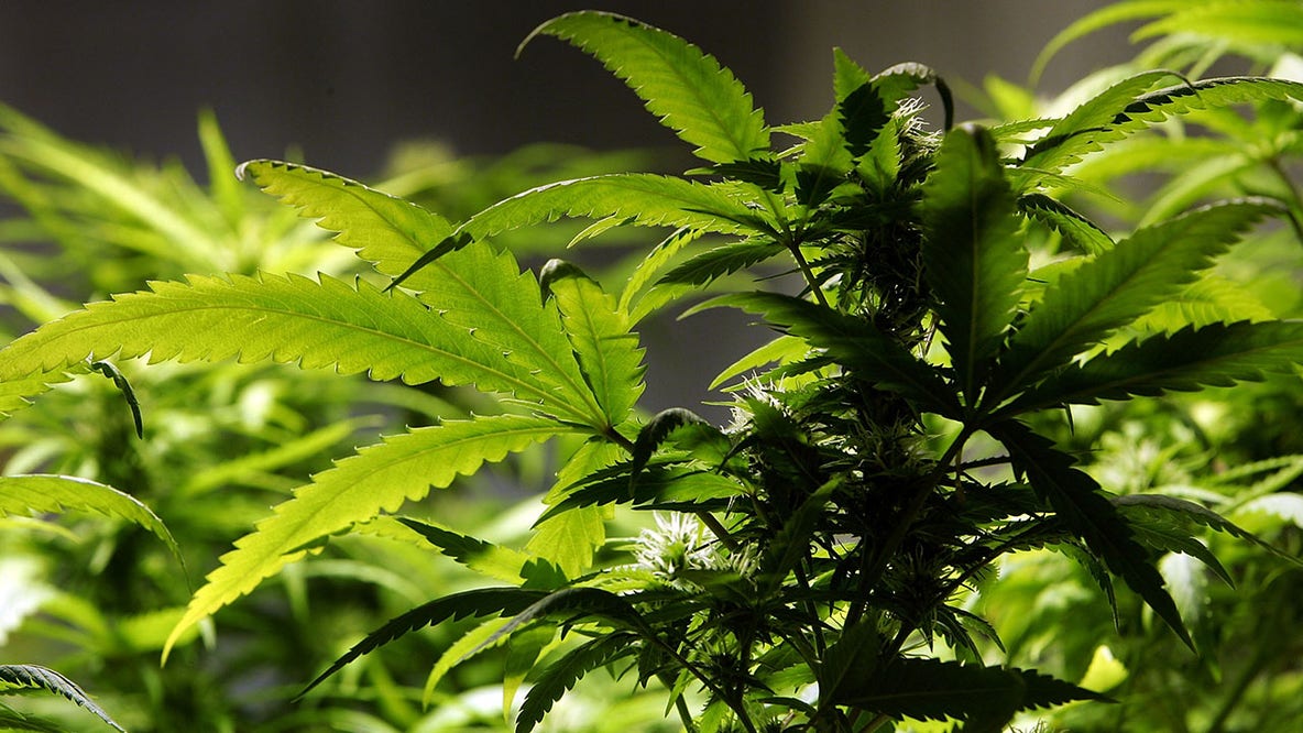Fairfax County leaders support maximum 3.5% tax on recreational marijuana sales