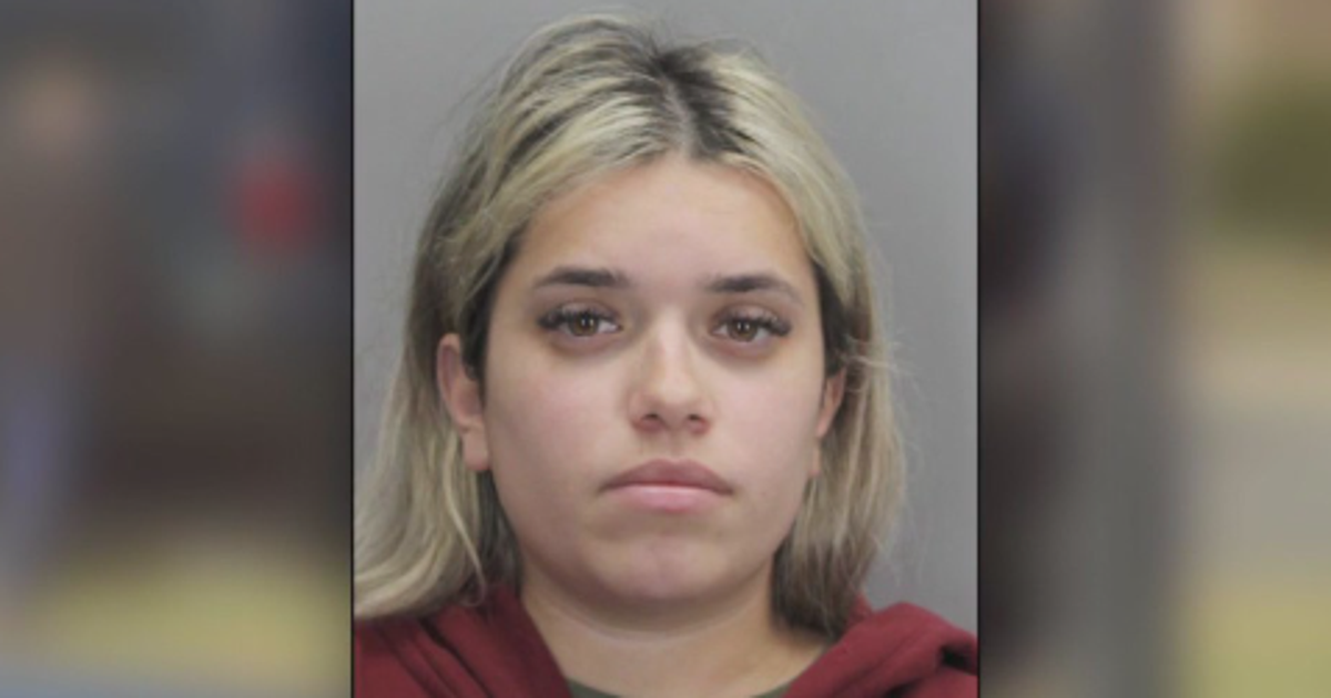 Au pair pleads guilty to manslaughter in Virginia double homicide | FOX ...