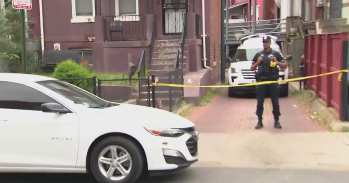 2 dogs shot, killed by MPD officer in Northwest DC neighborhood | FOX 5 DC